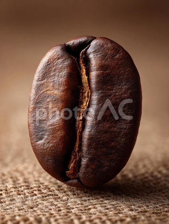 一粒のコーヒー豆 コーヒー豆,豆,珈琲の写真素材