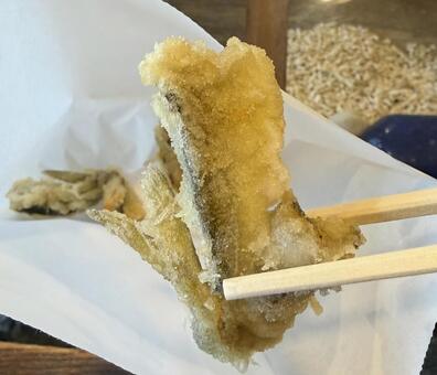 揚げたてアジの天ぷら アジ,アジ釣り,天ぷらの写真素材