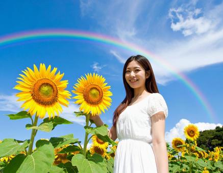 ひまわり・虹と彼女 ひまわり・虹と彼女の写真