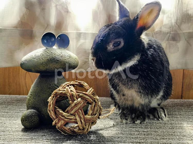 うさぎとカエルの置物 うさぎ,ウサギ,草食動物の写真素材