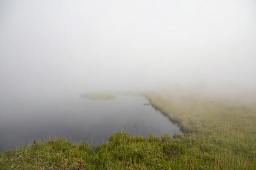 霧に包まれた6月の知床一湖 霧に包まれた6月の知床一湖の写真