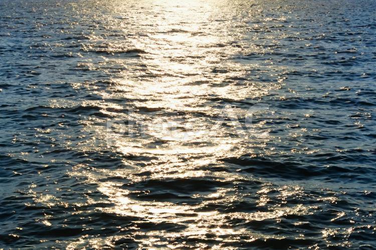 太陽の光が反射する、海の水面 海,空,太陽の写真素材
