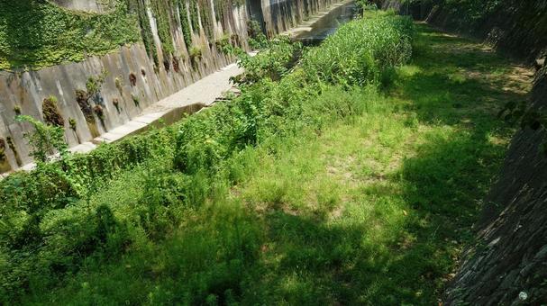 小川の草むら 小川の草むら 小川,川,草むらの写真素材