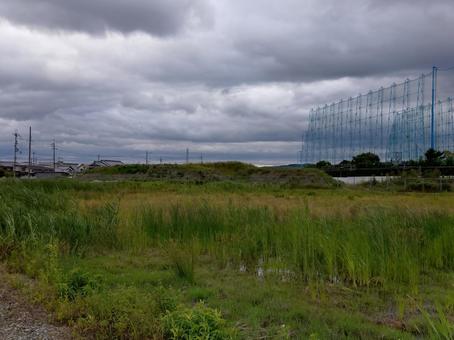 耕作放棄地 空地,耕作放棄地,雑草の写真素材