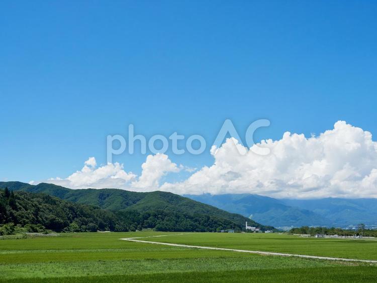 夏、青空・雲・水田の風景 長野県伊那市 夏,青空,雲の写真素材