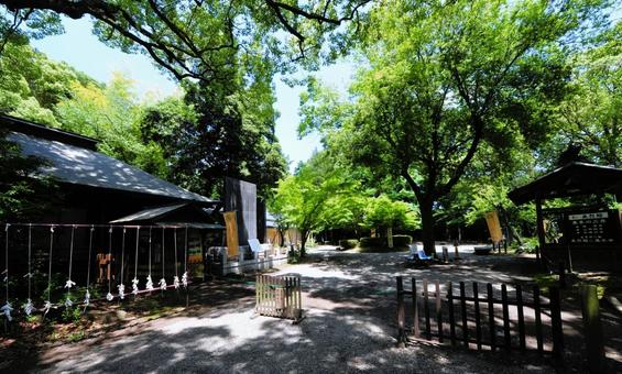 水戸偕楽園 水戸偕楽園の写真