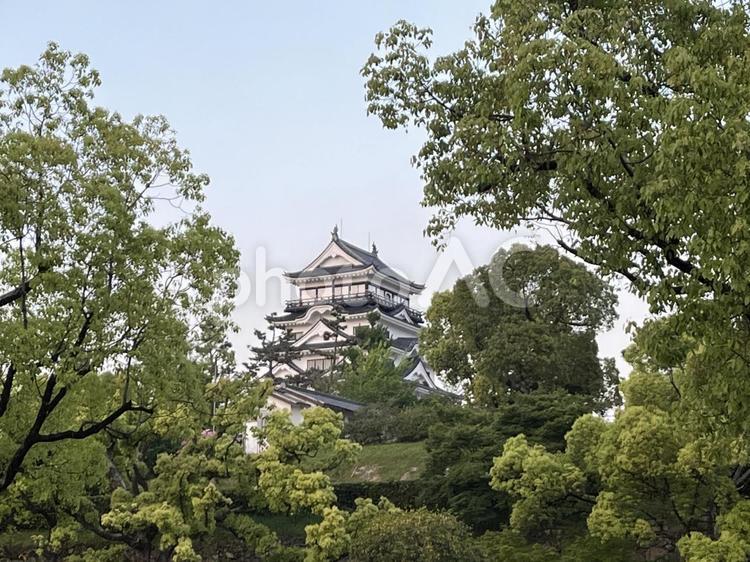 【風景写真】福山城が見える風景 福山城,天守閣,お城の写真素材