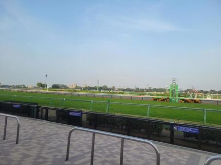 春の中山競馬場 春の中山競馬場の写真