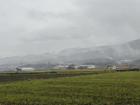 霧の鉢伏山 霧の鉢伏山の写真