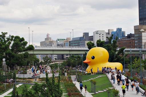 休日の中之島公園の風景 休日の中之島公園の風景の写真