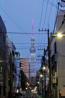 下町の道路から見るスカイツリー 下町の道路から見るスカイツリーの写真