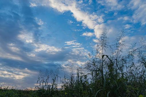 秋の朝の空 秋の朝の空 早朝,青空,雲の写真素材