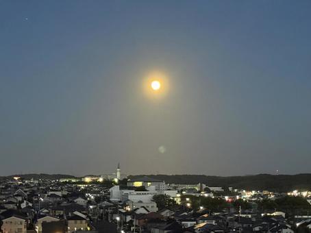 月夜 月夜の写真