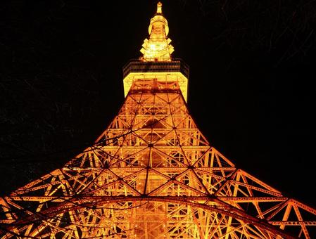 ライトアップ_東京タワー ライトアップ_東京タワーの写真