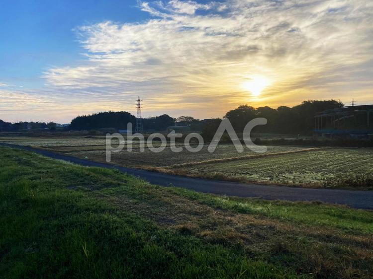 冬の田んぼのある風景 空,冬,自然の写真素材