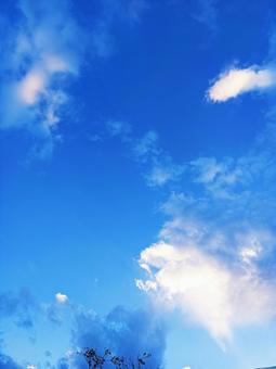 青空 青空の写真