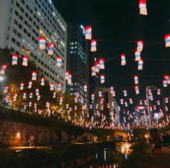 夜景 夜景の写真