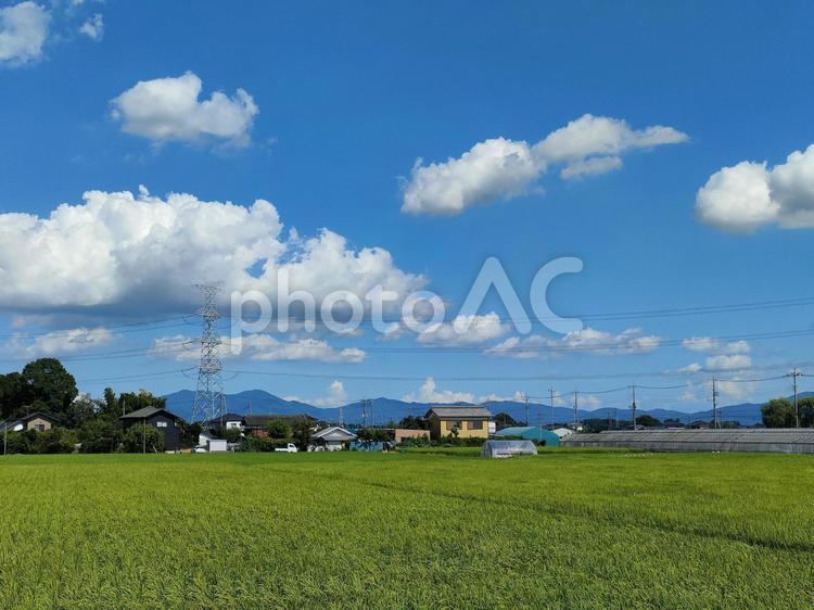 青空の下に広がる田園風景 青空,雲,空の写真素材