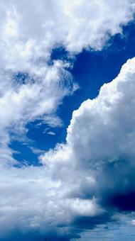 青空 青空の写真