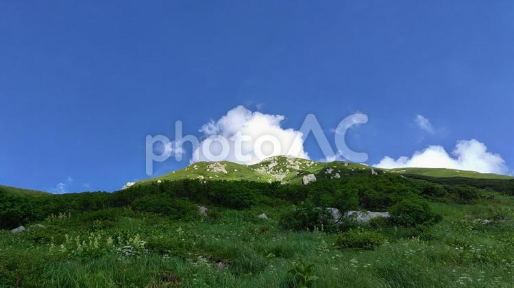 室堂平の風景 室堂平,山,青空の写真素材
