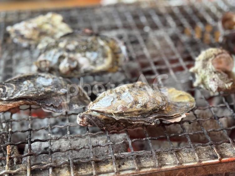 牡蠣　焼き牡蠣 牡蠣,かき,カキの写真素材