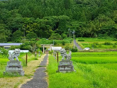 神社の参道 神社の参道の写真