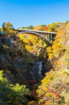 鳴子峡の秋-Vol.4(21)の写真