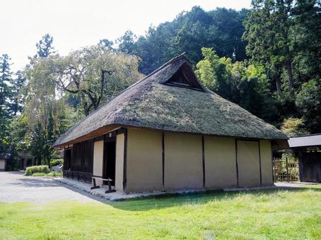 秋の高麗神社・古民家（埼玉県・日高市） 秋,高麗神社,境内の写真素材