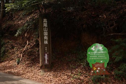 高尾山 登山道 高尾山 登山道 高尾山,ハイキング,風景の写真素材
