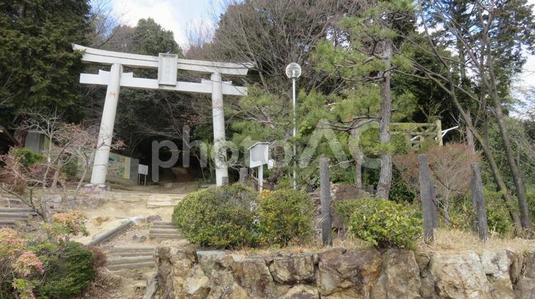 山崎合戦古戦場　天王山　旗立松　羽柴秀吉 山崎古戦場,山崎合戦古戦場,山崎の戦いの写真素材