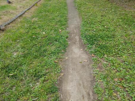 公園の歩道 公園の歩道の写真