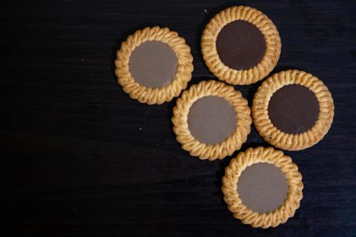 チョコビスケット チョコビスケット ビスケット,チョコビスケット,クッキーの写真素材