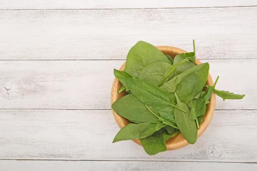 サラダほうれん草 サラダほうれん草,ほうれん草,野菜の写真素材