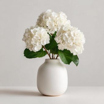 花瓶に入った白色の紫陽花 花瓶に入った白色の紫陽花の写真