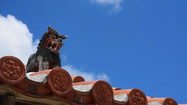 沖縄 夏 沖縄 夏の写真