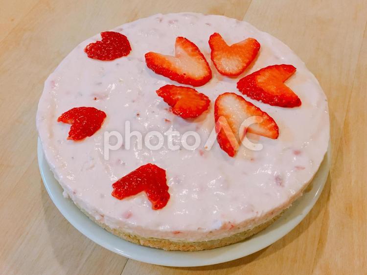 桜の咲いたいちごのレアチーズケーキ いちごのレアチーズケーキ,いちご,レアチーズケーキの写真素材