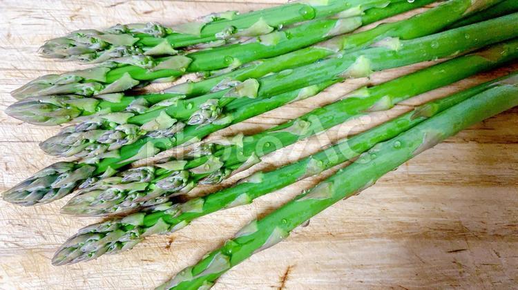 野菜　とれたてアスパラガス　フリー素材 アスパラガス,グリーンアスパラ,アスパラの写真素材