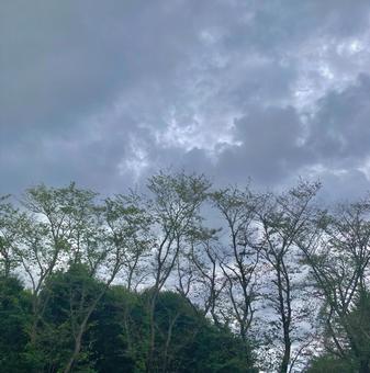 曇り空 曇り空の写真