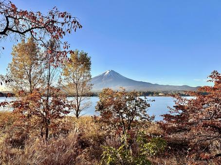 湖畔で感じる秋の河口湖と富士山 富士山,河口湖,湖畔の写真素材
