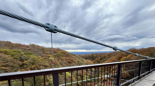 横風景 吊橋,つつじ吊り橋,紅葉の写真素材