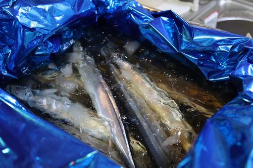 秋刀魚の箱買い 秋刀魚の箱買いの写真