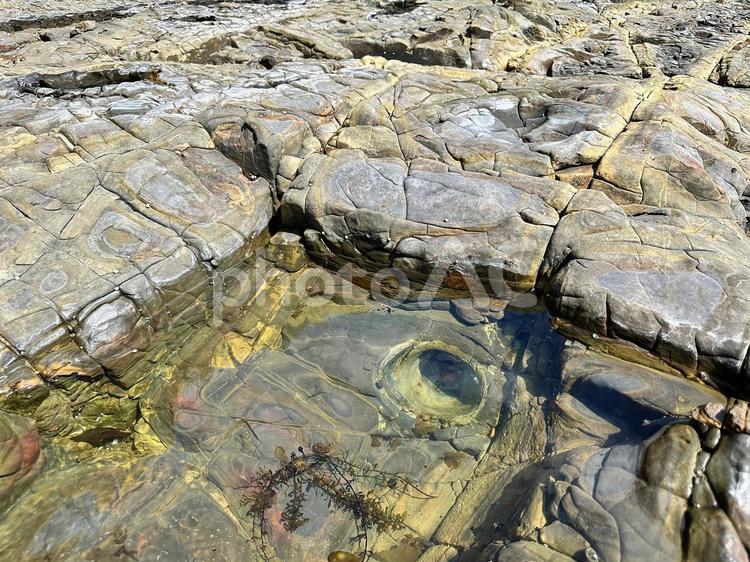 太地町夏山　夏山園地　海岸公園　春の磯 太地町夏山,芝生広場,海岸の写真素材