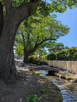 小川 小川の写真