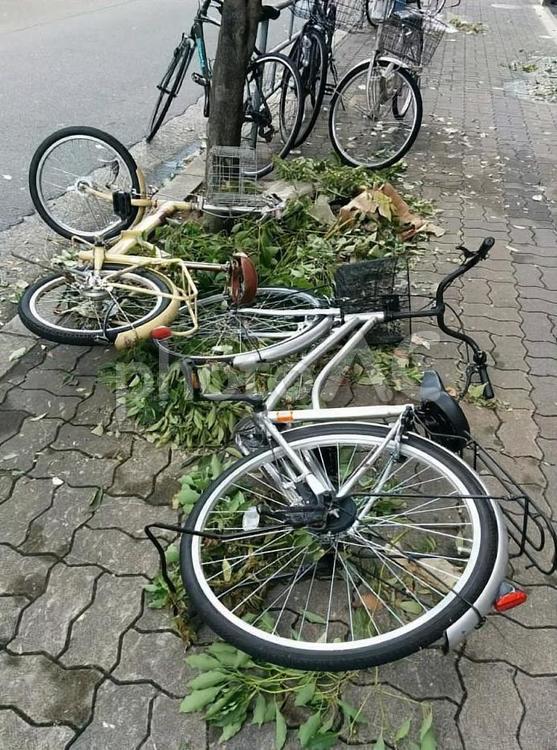 台風被害　8　倒れた自転車 台風,スーパー台風,被害の写真素材