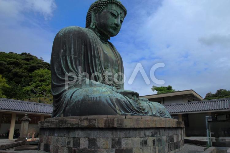 鎌倉大仏ー鎌倉市ー神奈川県 大仏,鎌倉大仏,国宝銅像の写真素材