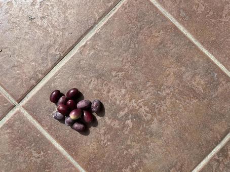 完熟のオリーブ、コピースペース オリーブ,黒,ブラックの写真素材