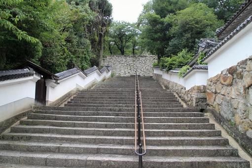 津山城1 津山城1 津山城,城址,日本100名城の写真素材