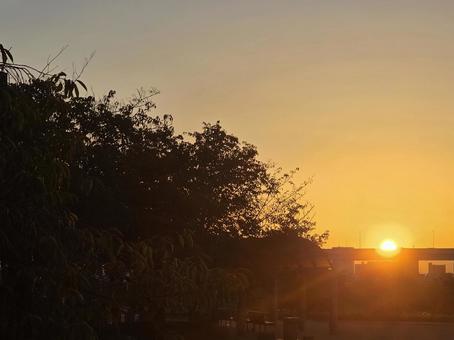 朝焼けと木々 風景,空,屋外の写真素材