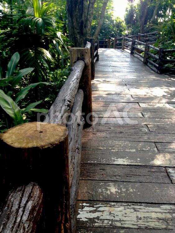 タイの森の中にある木でできた通路 すごい,アジア,イラストの写真素材