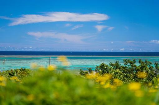 小浜島 小浜島の写真